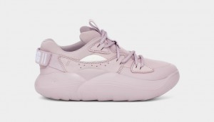 Ugg LA Cloud Spets Sneakers Dam Rosa Grå | UB0584271