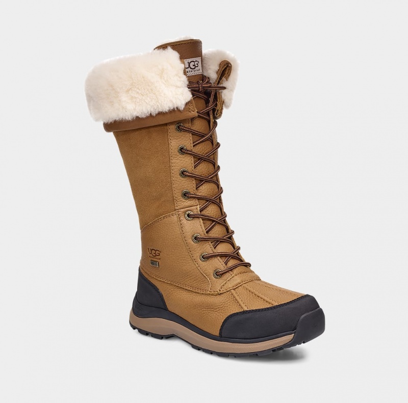 Ugg Adirondack III Höga Stövlar Dam Bruna | JK7032564