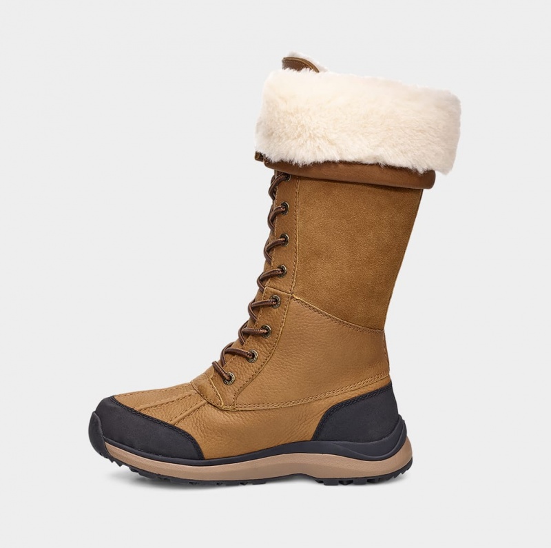 Ugg Adirondack III Höga Stövlar Dam Bruna | JK7032564