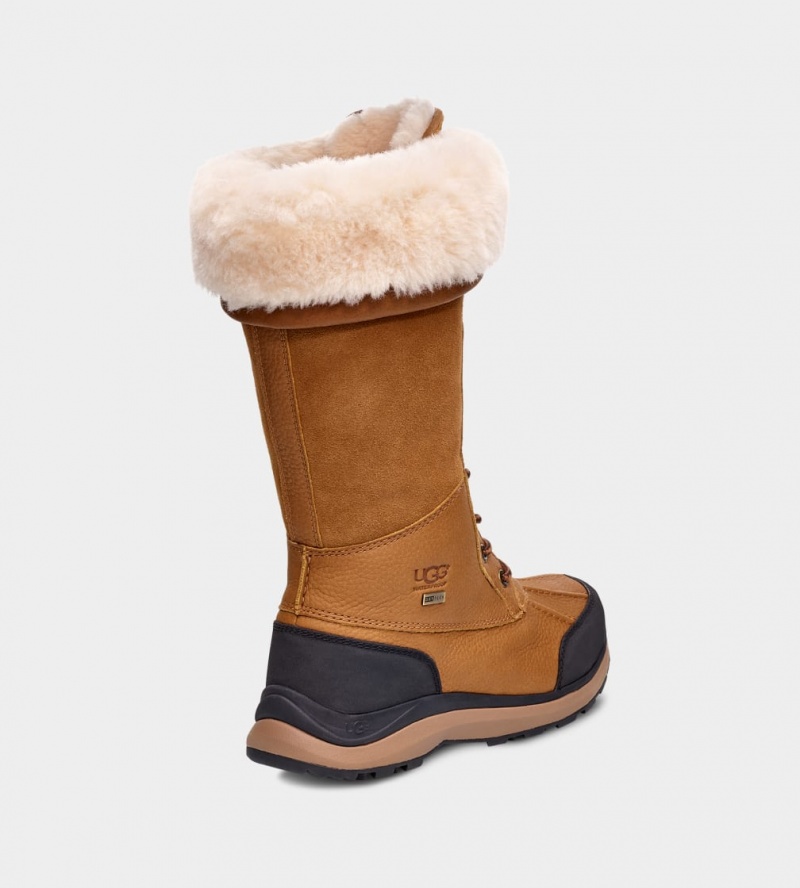 Ugg Adirondack III Höga Stövlar Dam Bruna | JK7032564