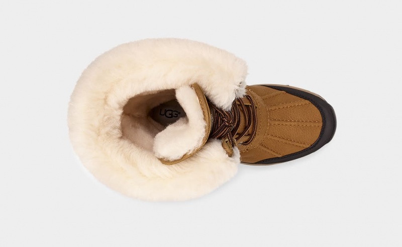 Ugg Adirondack III Höga Stövlar Dam Bruna | JK7032564