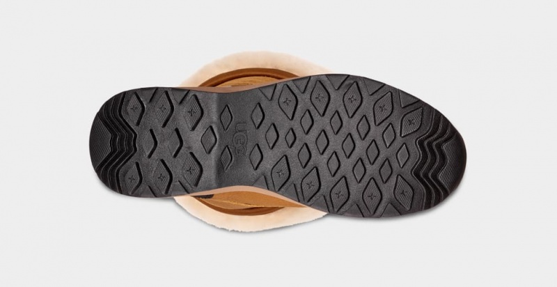 Ugg Adirondack III Höga Stövlar Dam Bruna | JK7032564