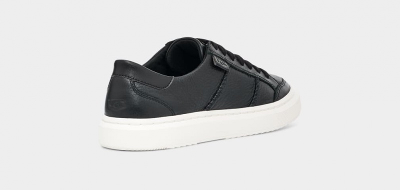 Ugg Alameda Spets Sneakers Dam Svarta | ZY1074683