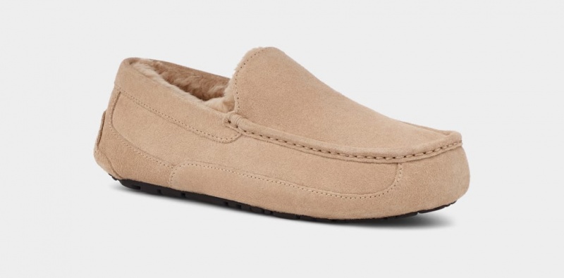 Ugg Ascot Tofflor Herr Bruna | TI3781052