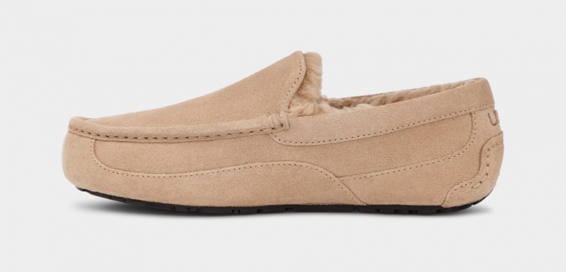 Ugg Ascot Tofflor Herr Bruna | TI3781052