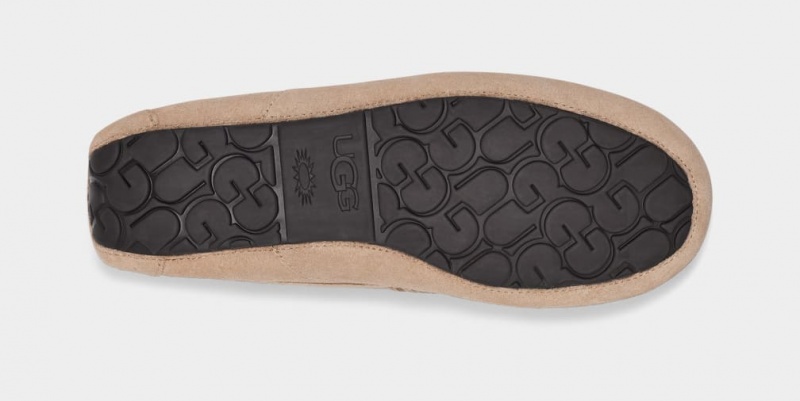 Ugg Ascot Tofflor Herr Bruna | TI3781052