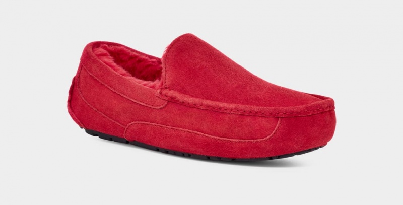 Ugg Ascot Tofflor Herr Röda | QV3205941