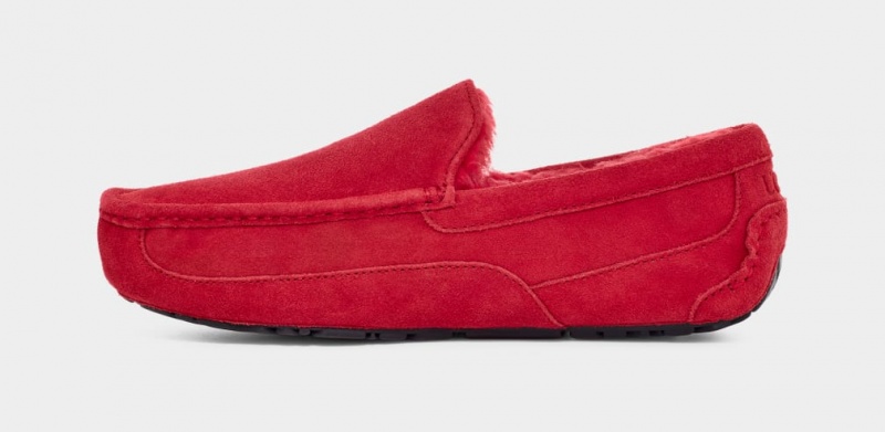 Ugg Ascot Tofflor Herr Röda | QV3205941