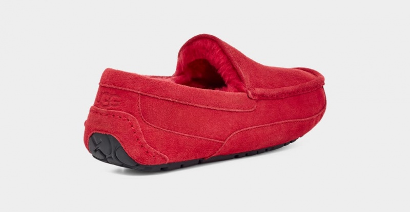 Ugg Ascot Tofflor Herr Röda | QV3205941