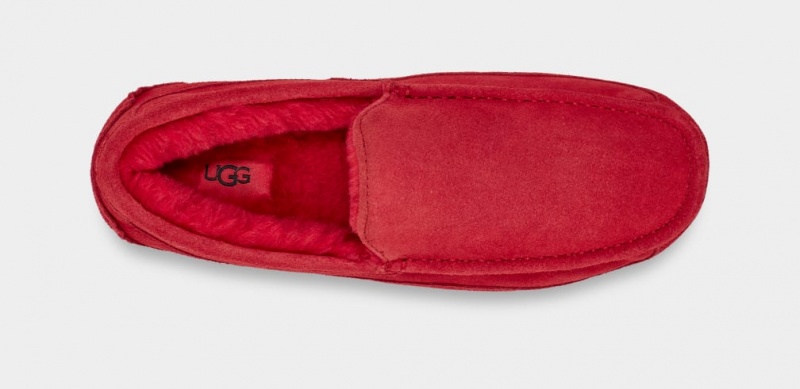 Ugg Ascot Tofflor Herr Röda | QV3205941