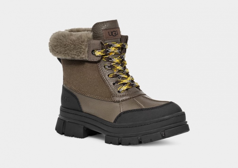 Ugg Ashton Addie Stövlar Dam Grå | WN8971243