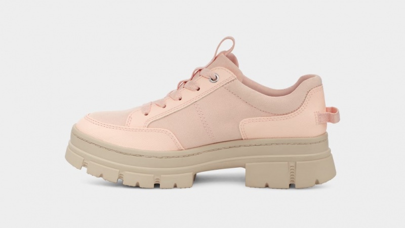 Ugg Ashton Hybrid Sneakers Dam Beige | KC3178654