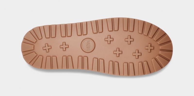 Ugg Boot Guard Stövlar Herr Bruna | ME2481679