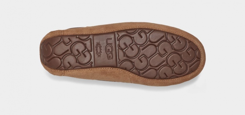 Ugg Dakota Mockasiner Dam Bruna | PY5602147