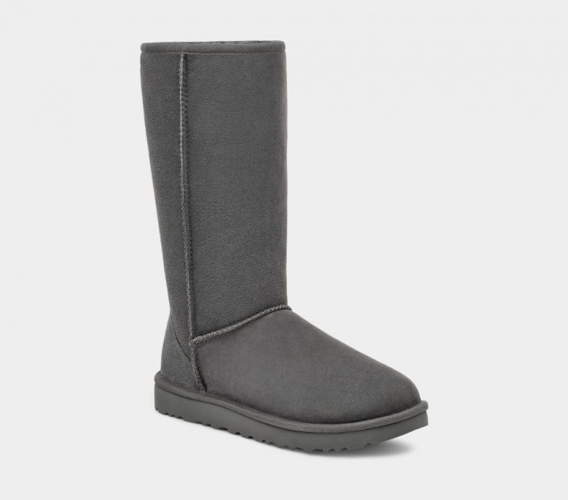 Ugg Klassiska Höga II Stövlar Dam Grå | QD2396710