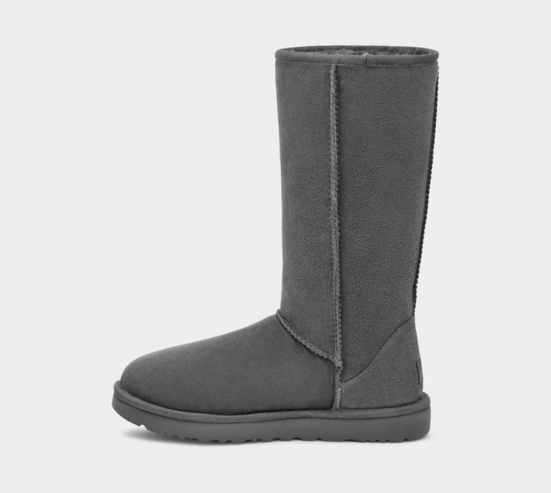 Ugg Klassiska Höga II Stövlar Dam Grå | QD2396710
