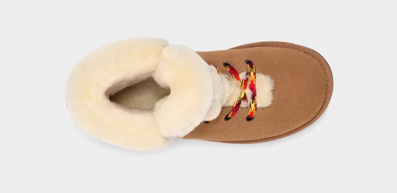 Ugg Klassiska Mini Alpine Spets Stövlar Dam Bruna | OM2796154