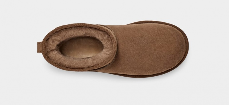 Ugg Klassiska Mini II Stövlar Dam Bruna | HK1536294