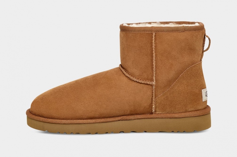 Ugg Klassiska Mini Stövlar Herr Bruna | NL1748905