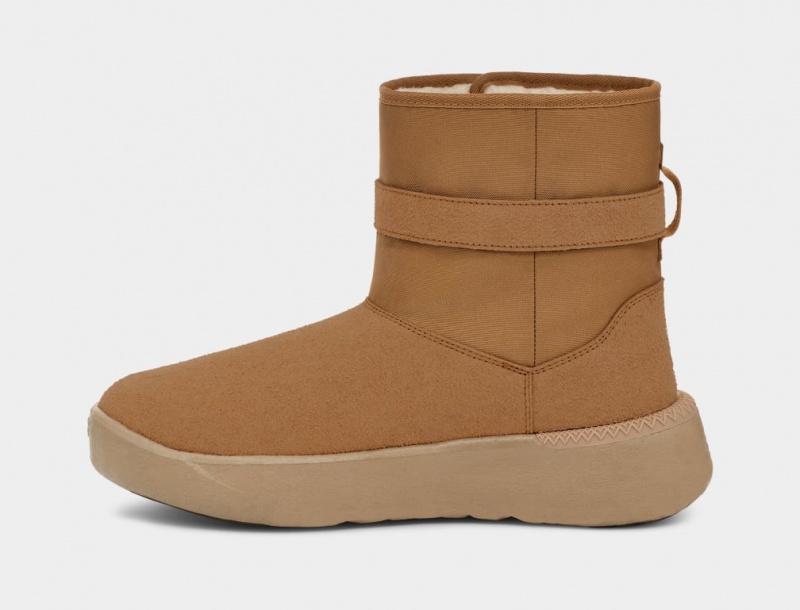 Ugg Klassiska S Stövlar Herr Bruna | ZV1273809