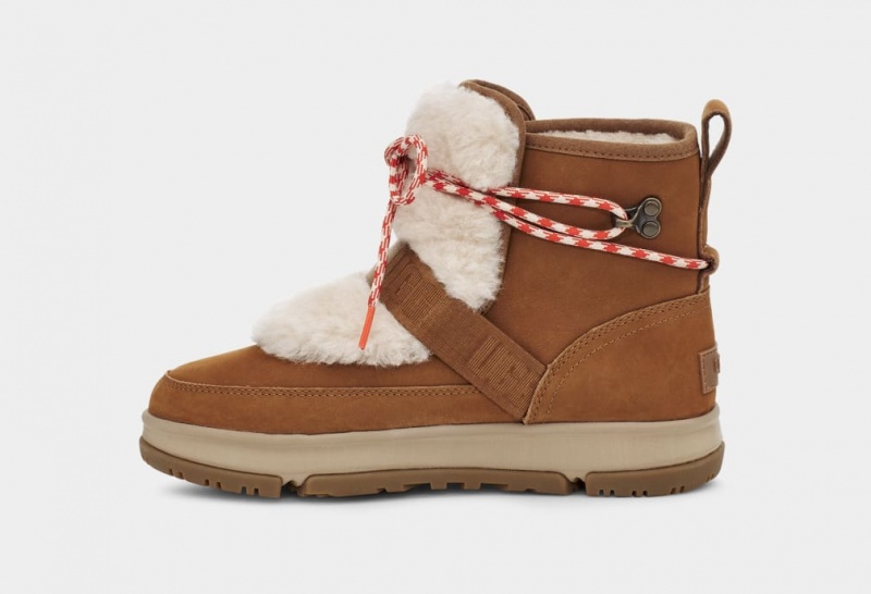 Ugg Klassiska Weather Hiker Stövlar Dam Bruna | BV1458697