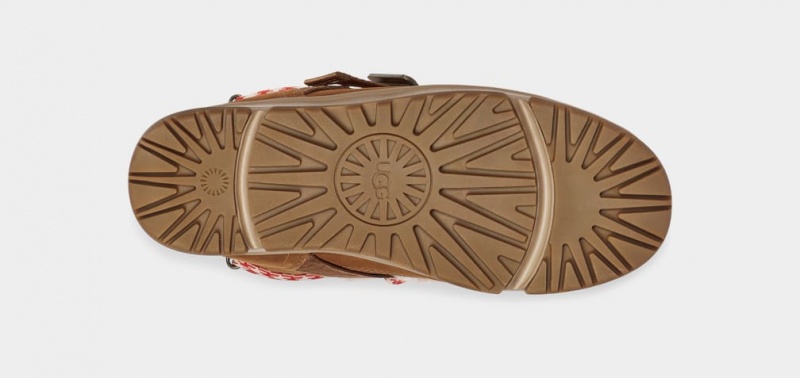 Ugg Klassiska Weather Hiker Stövlar Dam Bruna | BV1458697
