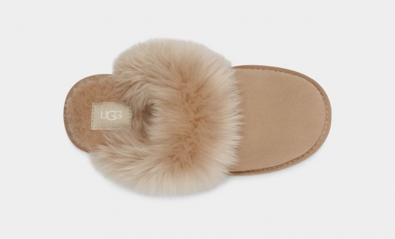 Ugg Scuff Sis Tofflor Dam Bruna | BQ2807943