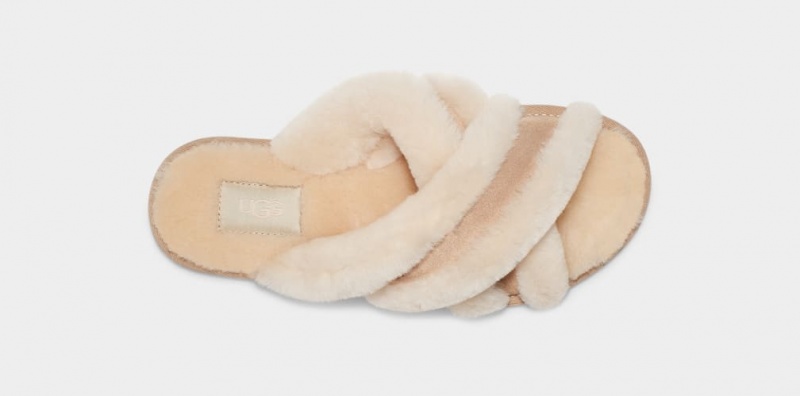 Ugg Scuffita Tofflor Dam Bruna | PB5894217