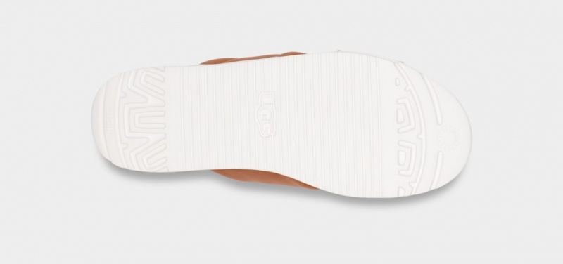 Ugg Zayne Crossband Badtofflor Dam Bruna | WU3560147